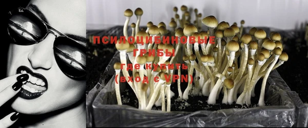 стафф Армянск